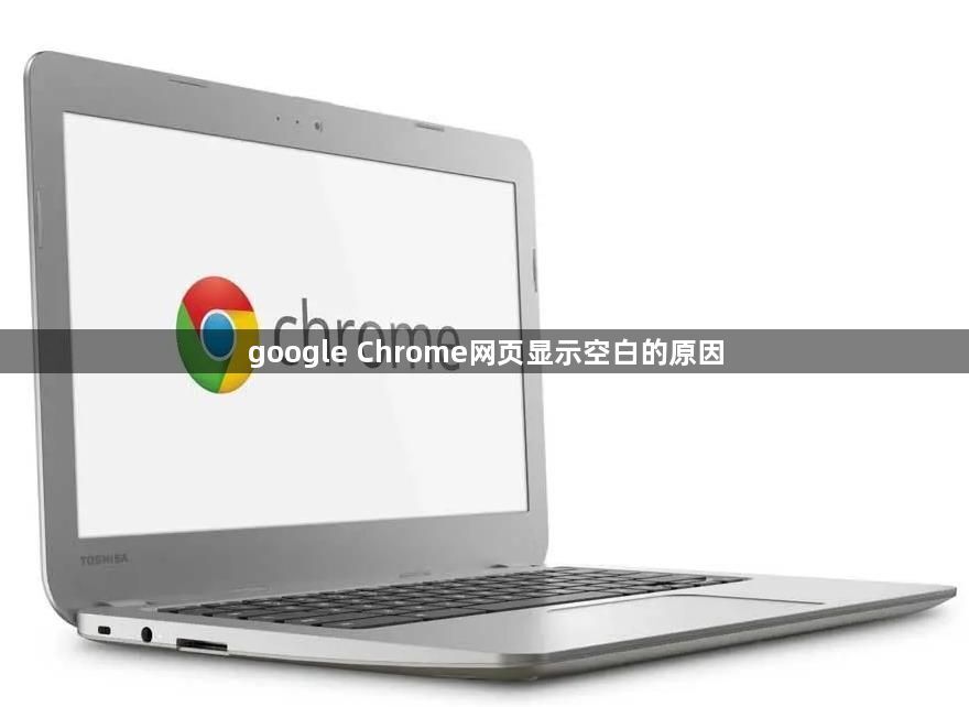 google Chrome网页显示空白的原因1