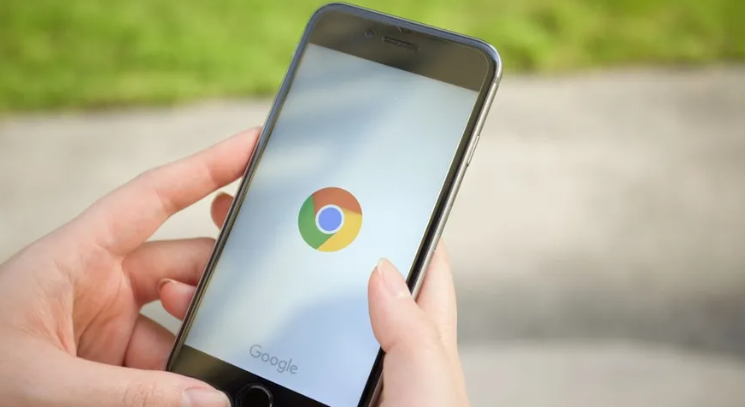 Google Chrome下载PDF文件显示空白怎么办缩略图