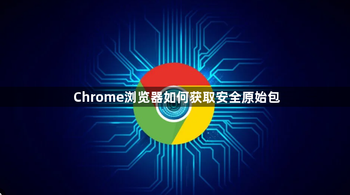 Chrome浏览器如何获取安全原始包1