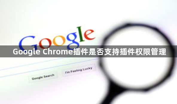 Google Chrome插件是否支持插件权限管理1