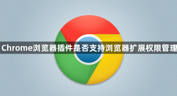 Chrome浏览器插件是否支持浏览器扩展权限管理1