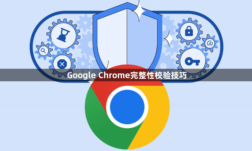 Google Chrome完整性校验技巧1
