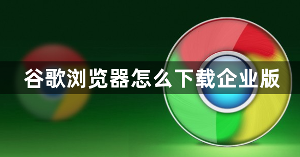 谷歌浏览器怎么下载企业版1