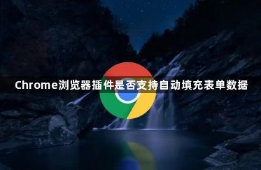 Chrome浏览器插件是否支持自动填充表单数据1