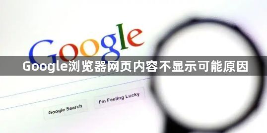 Google浏览器网页内容不显示可能原因1