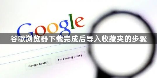 谷歌浏览器下载完成后导入收藏夹的步骤1