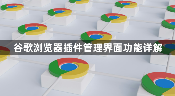 谷歌浏览器插件管理界面功能详解1
