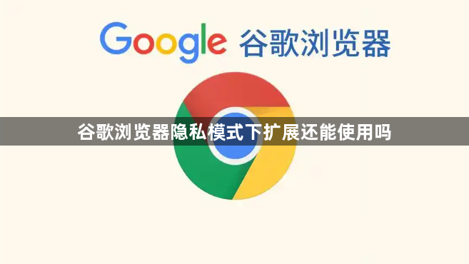谷歌浏览器隐私模式下扩展还能使用吗1