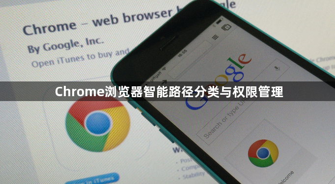 Chrome浏览器智能路径分类与权限管理1