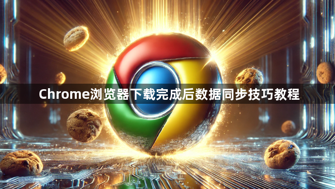 Chrome浏览器下载完成后数据同步技巧教程1