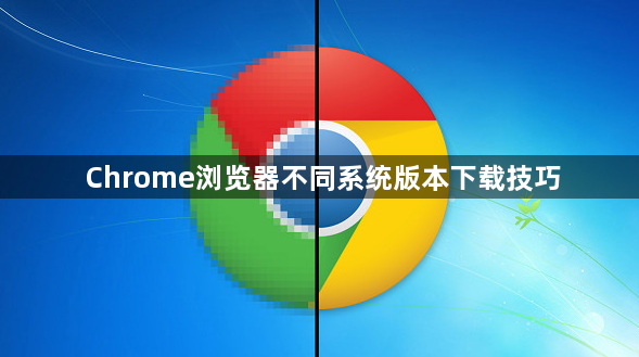 Chrome浏览器不同系统版本下载技巧1