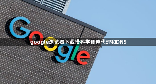 google浏览器下载慢科学调整代理和DNS1