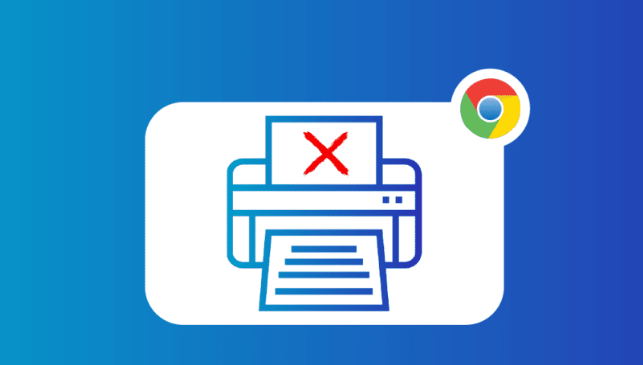 Chrome浏览器官方版下载安装流程缩略图