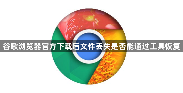 谷歌浏览器官方下载后文件丢失是否能通过工具恢复1