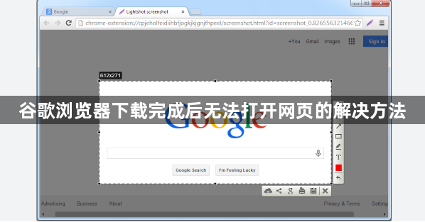 谷歌浏览器下载完成后无法打开网页的解决方法1