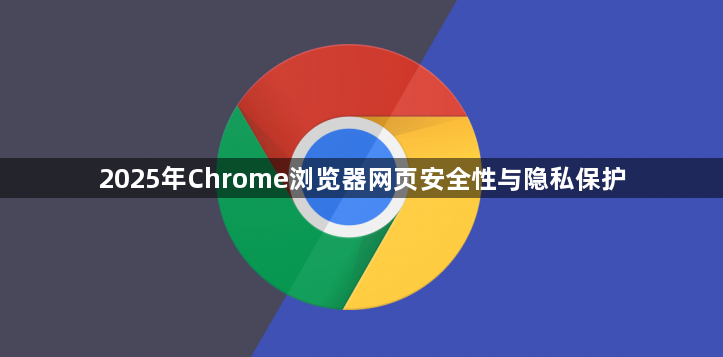 2025年Chrome浏览器网页安全性与隐私保护1