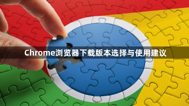 Chrome浏览器下载版本选择与使用建议1
