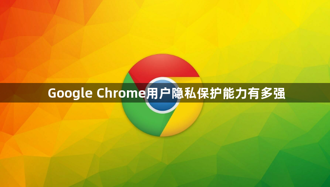 Google Chrome用户隐私保护能力有多强1