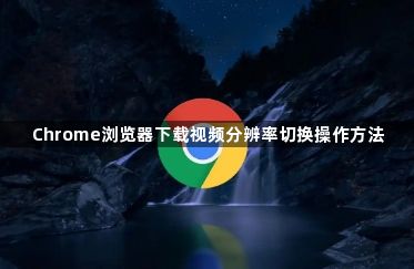 Chrome浏览器下载视频分辨率切换操作方法1
